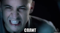  сплит