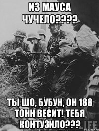 из мауса чучело???? ты шо, бубун, он 188 тонн весит! тебя контузило???