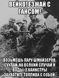 вейко! езжай с гансом! возьмёшь пару шмайзеров, сухпай. на всякий случай и воды. 2 канистры захватите топлива с собой.