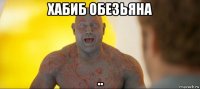 хабиб обезьяна ..