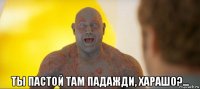  ты пастой там падажди, харашо?...