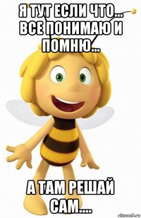 я тут если что... все понимаю и помню... а там решай сам....