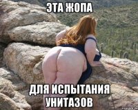эта жопа для испытания унитазов