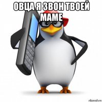 овца я звон твоей маме 