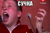 сучка 