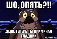 шо, опять?!! деня, теперь ты криминал гладкий