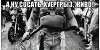 а ну сосать, хуергрыз, живо! 