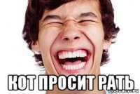  кот просит рать