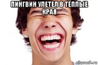 пингвин улетел в тёплые края 