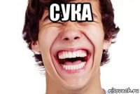 сука 