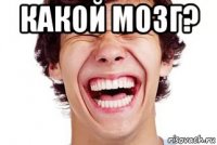 какой мозг? 