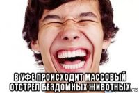  в уфе происходит массовый отстрел бездомных животных