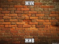 жук жив