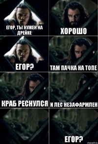 Егор, ты нужен на дрейке Хорошо Егор? Там пачка на топе Краб реснулся и лес незафармлен  Егор?