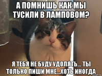 а помнишь как мы тусили в ламповом? я тебя не буду удолять... ты только пиши мне...хоть иногда