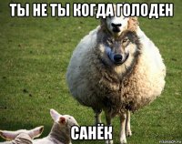 ты не ты когда голоден санёк