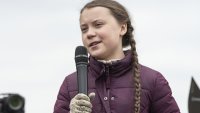 Все мемы Грета Тунберг сука сука