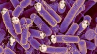 Создать мем K-pop bacteriosis