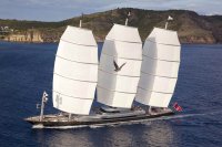 Создать мем Maltese Falcon