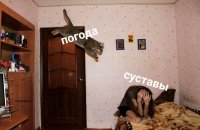 Создать мем П