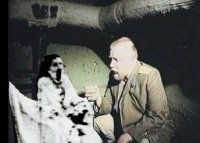 Создать мем Перерожденный и зеленый слоник