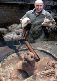 Создать мем В котёл