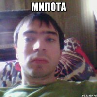 милота 