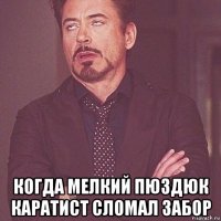  когда мелкий пюздюк каратист сломал забор