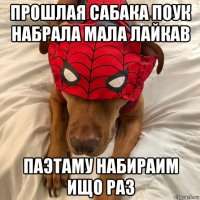 прошлая сабака поук набрала мала лайкав паэтаму набираим ищо раз
