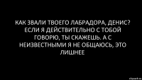 Как звали твоего лабрадора, Денис? Если я действительно с тобой говорю, ты скажешь. А с неизвестными я не общаюсь, это лишнее