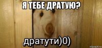 я тебе дратую? 