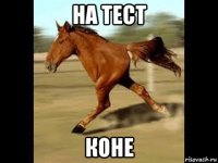 на тест коне