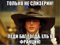 только не слизерин! леди баг тогда. ель в францию