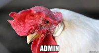  admin