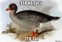 это не гусь это ты