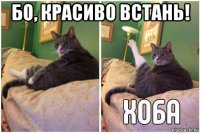 бо, красиво встань! 