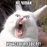 не чіпай ушастого, ізвєрг!