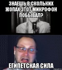знаешь в скольких жопах этот микрофон побывал? египетская сила