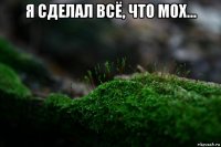 я сделал всё, что мох... 