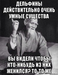 дельфины действительно очень умные существа вы видели чтобы кто-нибудь из них женился? то-то же