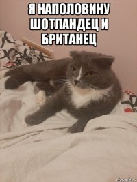 я наполовину шотландец и британец 