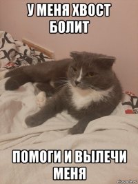 у меня хвост болит помоги и вылечи меня