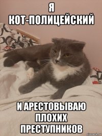 я кот-полицейский и арестовываю плохих преступников