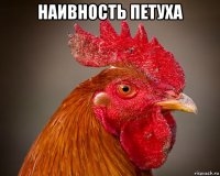 наивность петуха 