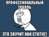 профессиональный тролль это звучит как статус!