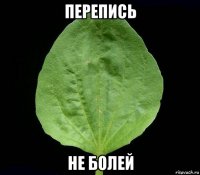 перепись не болей