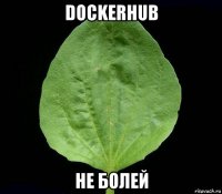 dockerhub не болей