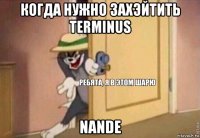 когда нужно захэйтить terminus nande