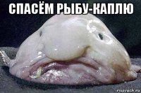 спасём рыбу-каплю 