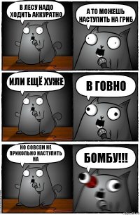 В лесу надо ходить аккуратно А то можешь наступить на гриб Или ещё хуже в говно Но совсем не прикольно наступить на Бомбу!!!